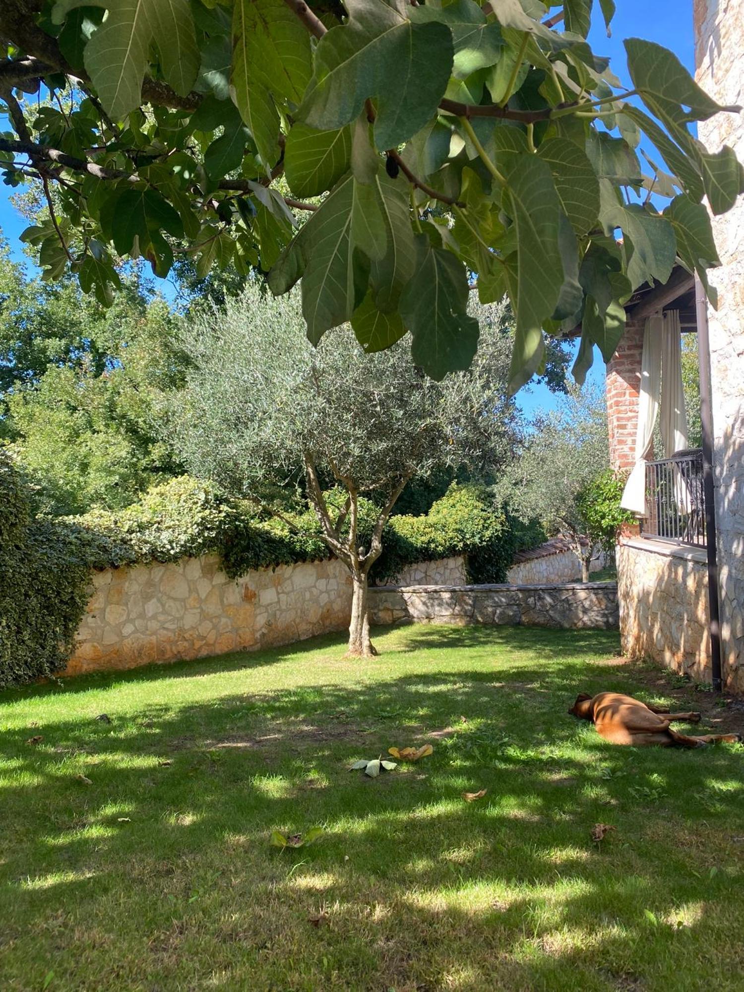 Villa Isabella - Ruheoase Poreč Extérieur photo